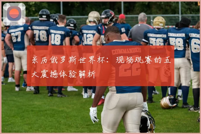 亲历俄罗斯世界杯：现场观赛的五大震撼体验解析