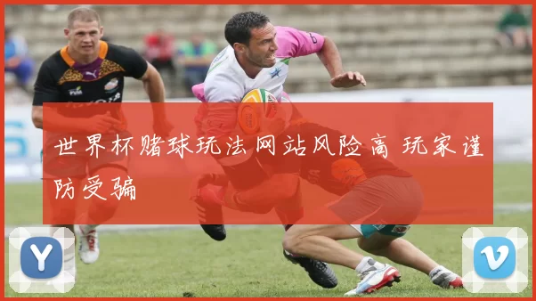 世界杯赌球玩法网站风险高 玩家谨防受骗