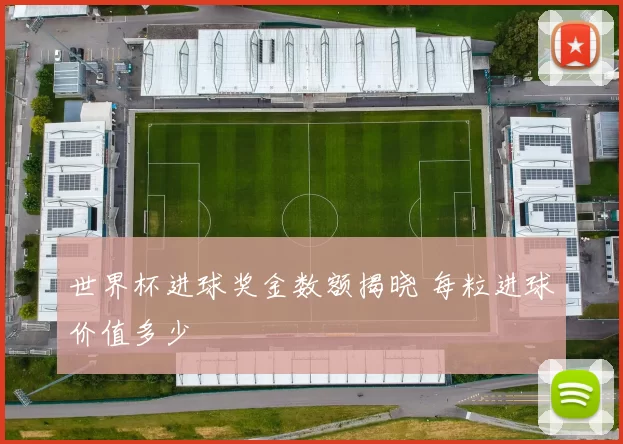 世界杯进球奖金数额揭晓 每粒进球价值多少