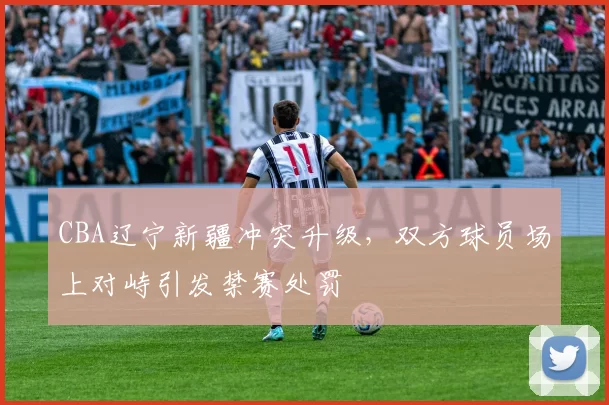 CBA辽宁新疆冲突升级，双方球员场上对峙引发禁赛处罚