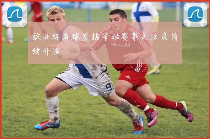 欧洲杯看球直播带动赛事关注度持续升温